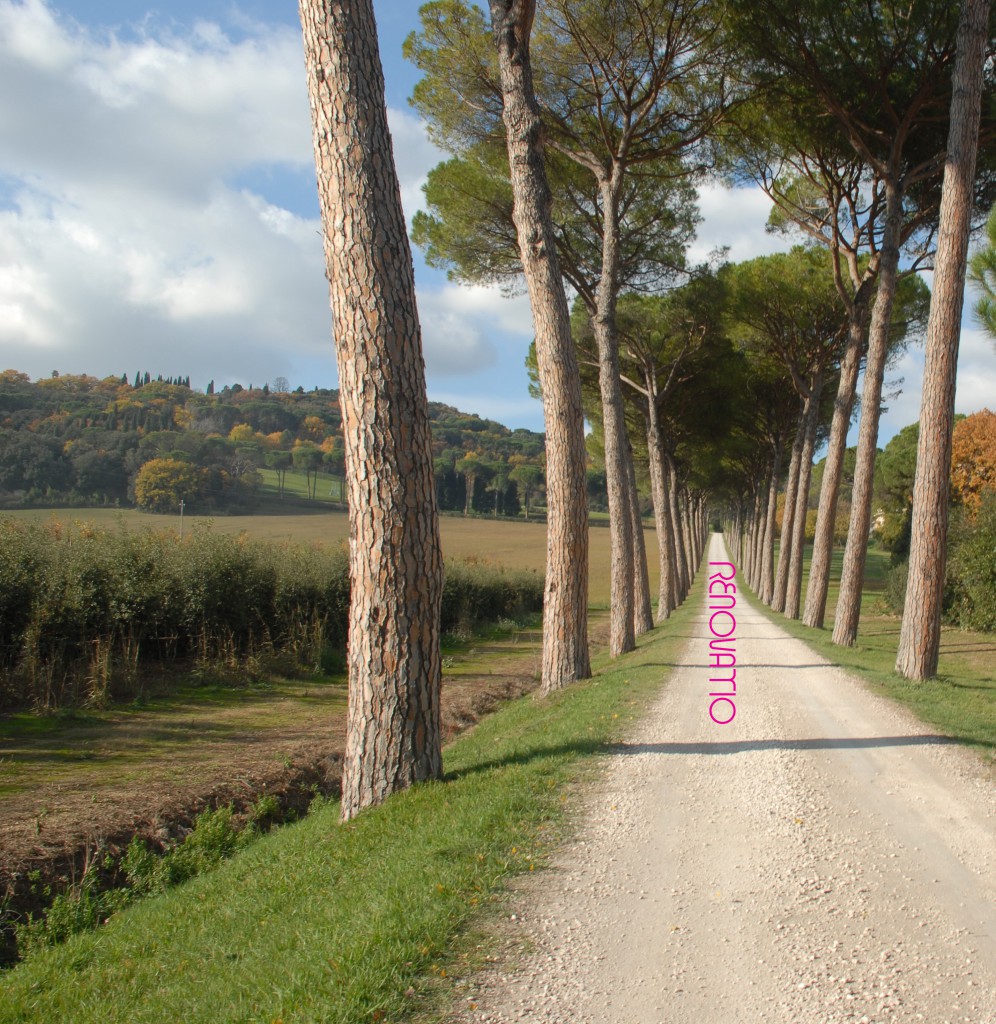 Todos los caminos conducen a Roma y éste privado solamente a la Fundación Guglielmo Giordano en la Villa Spinola de Umbría.