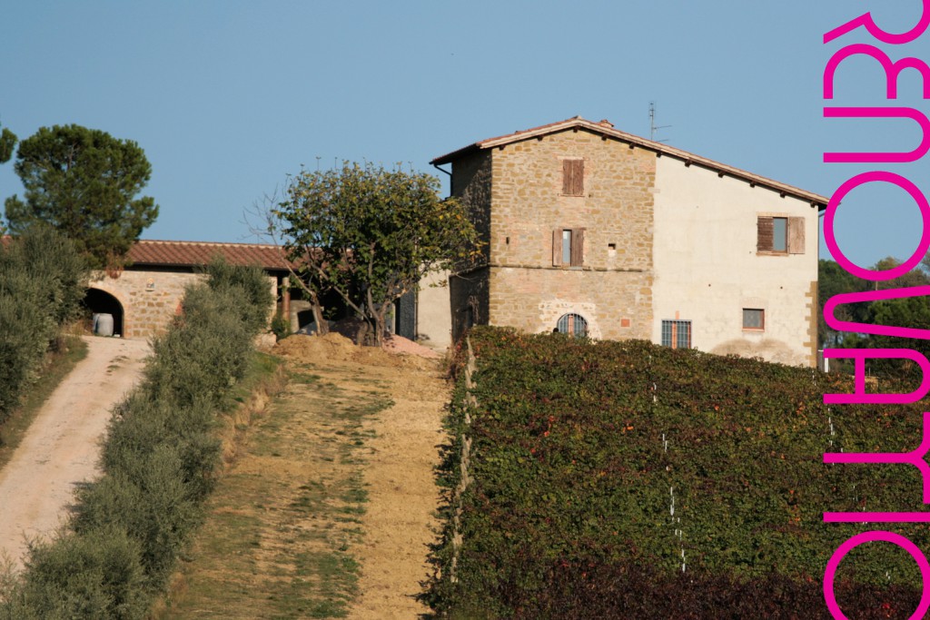 Bodega, viñedos y cantina 'Terre Margaritelli' en Miralduolo di Torgiano, Perugia, Italia