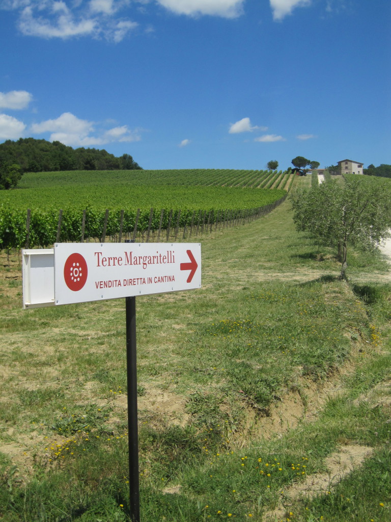 Bodega, viñedos y cantina 'Terre Margaritelli' en Miralduolo di Torgiano, Perugia, Italia