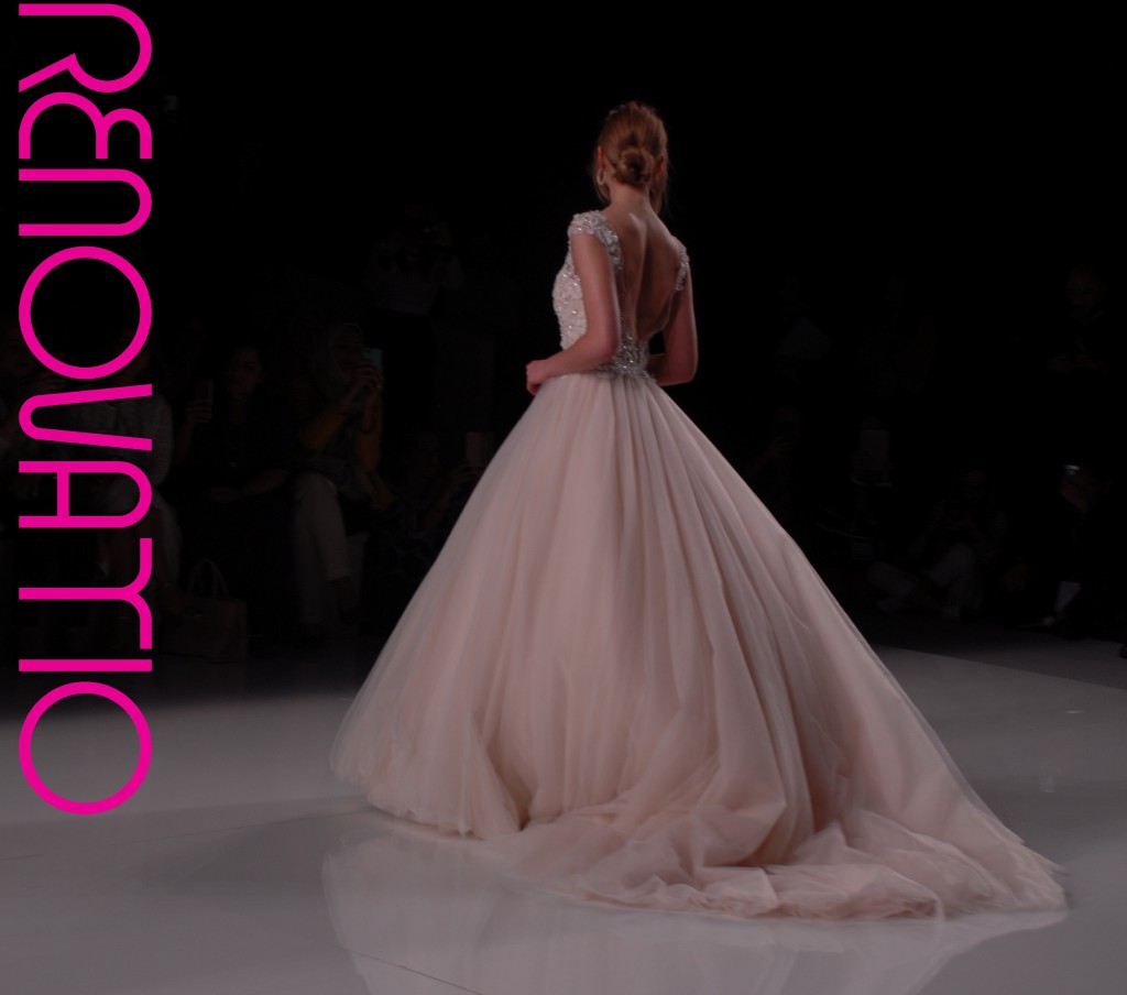 Barcelona Bridal Fashion Week 2017  Demetrios 2018